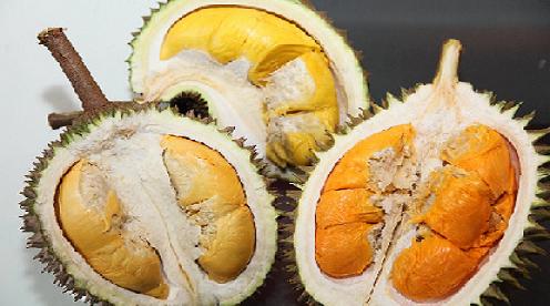 Penang Durian Festival